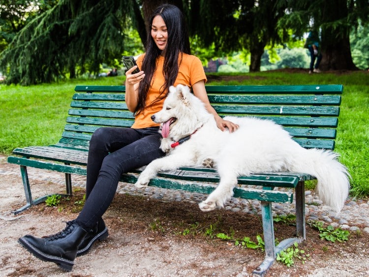 fille au parc avec son chien